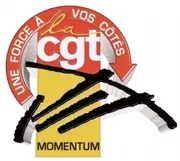 Logo Momentum